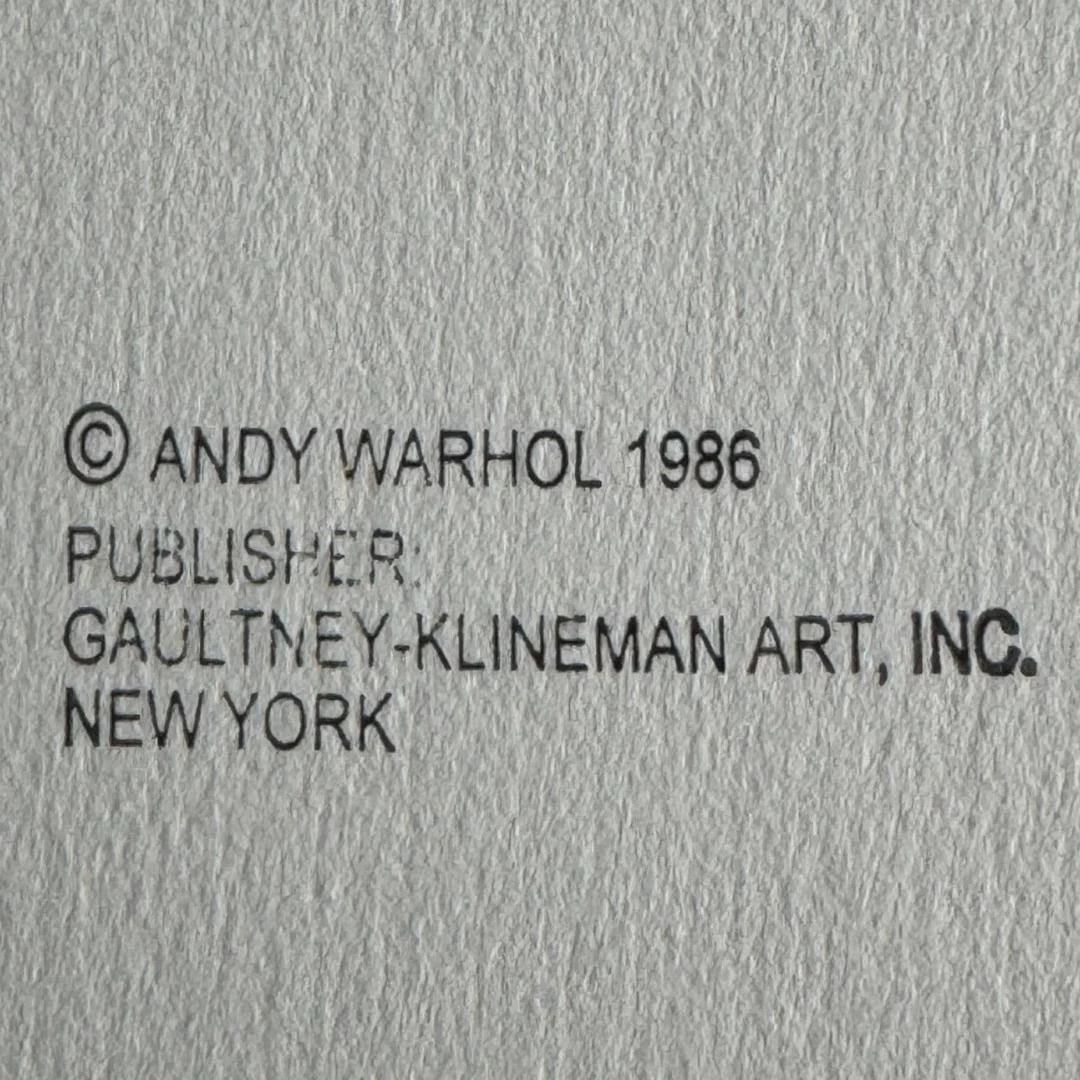 Text indicating copyright by Andy Warhol, publisher Gaultney-Klineman Art, Inc., New York, on a textured gray background.