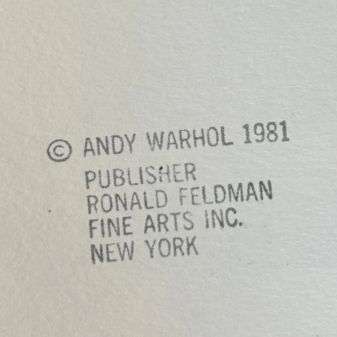 Text indicating copyright by Andy Warhol, publisher Ronald Feldman Fine Arts Inc., New York, on a textured gray background.