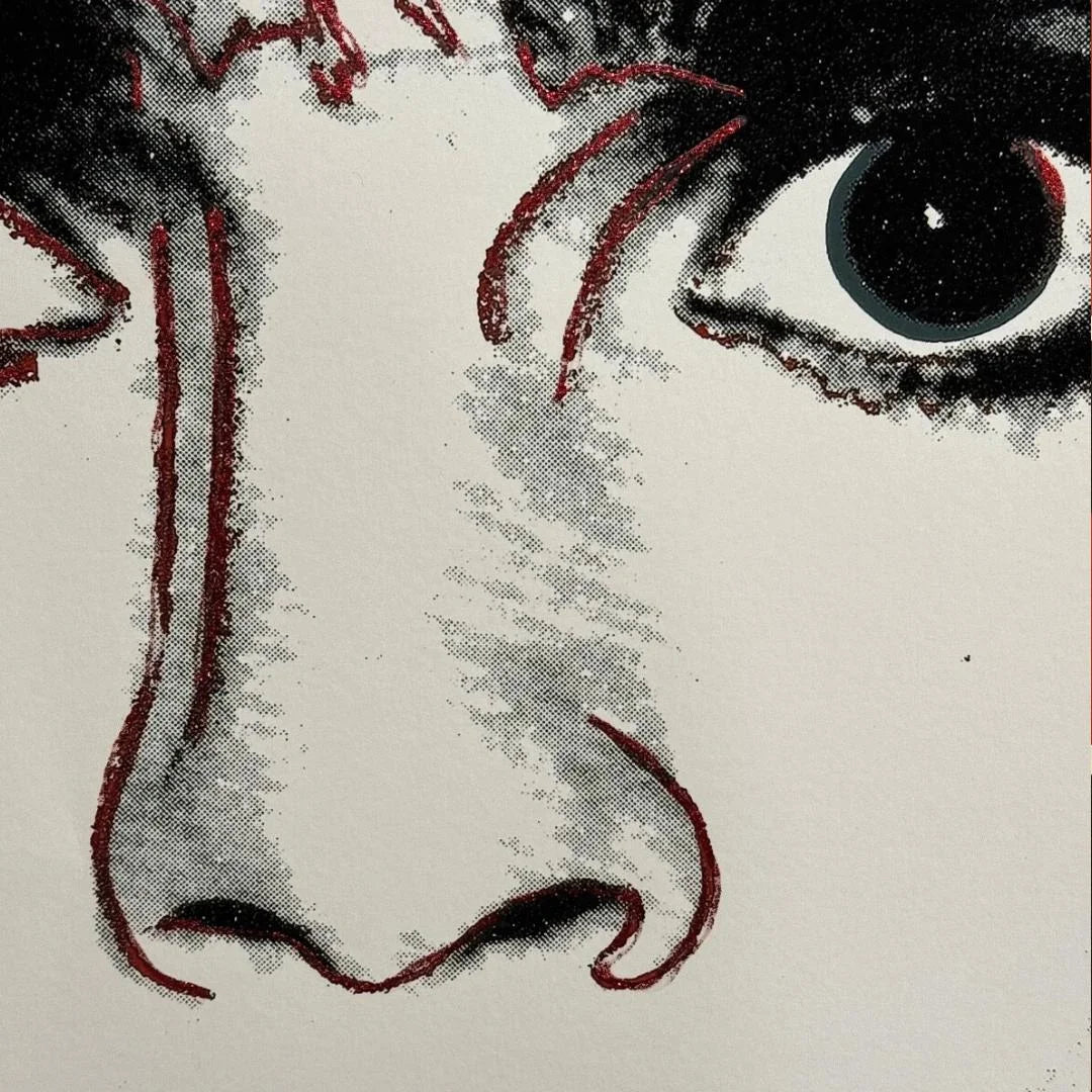 Close-up of a stylized Dracula's face with a detailed eye and nose.