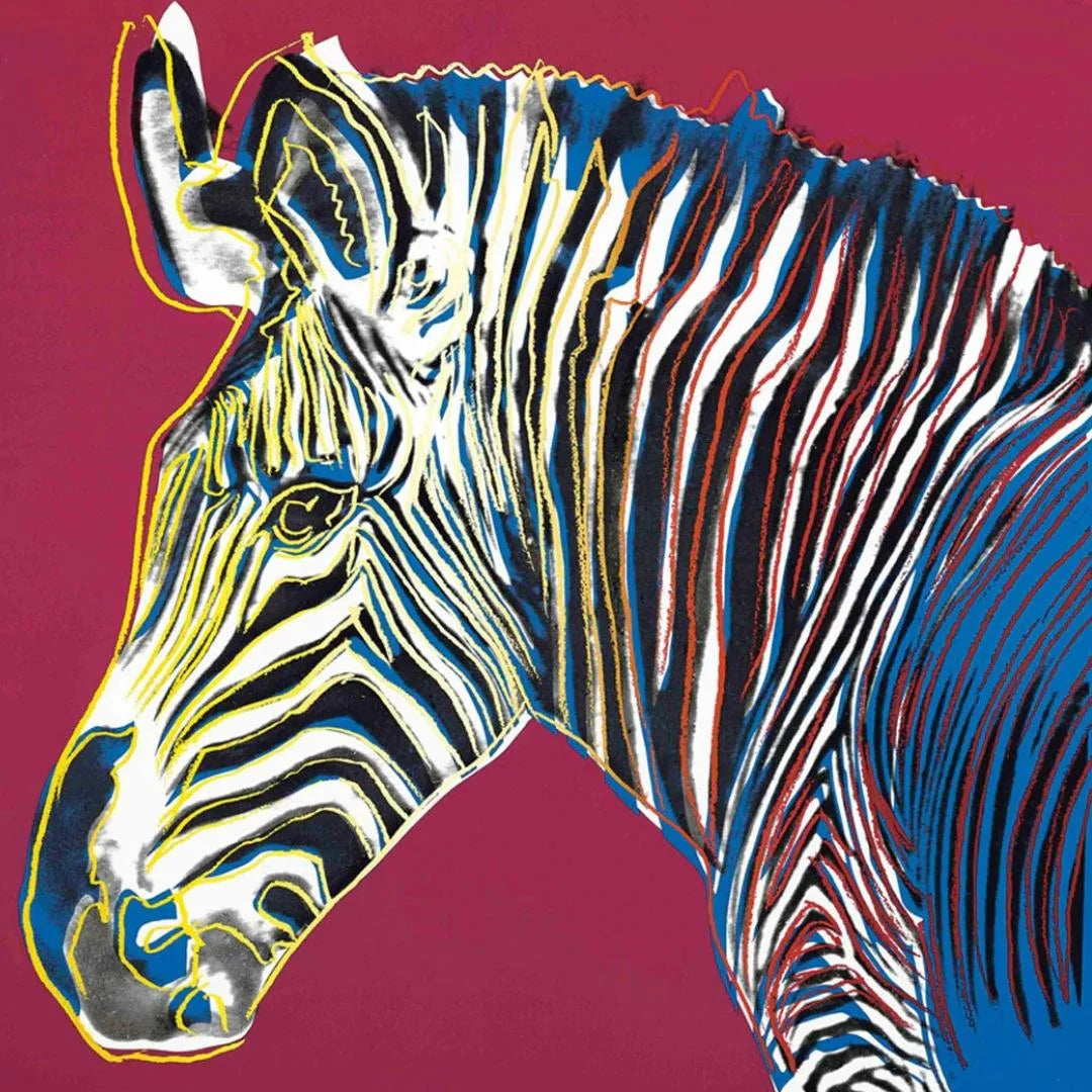 Colorful zebra illustration on a magenta background