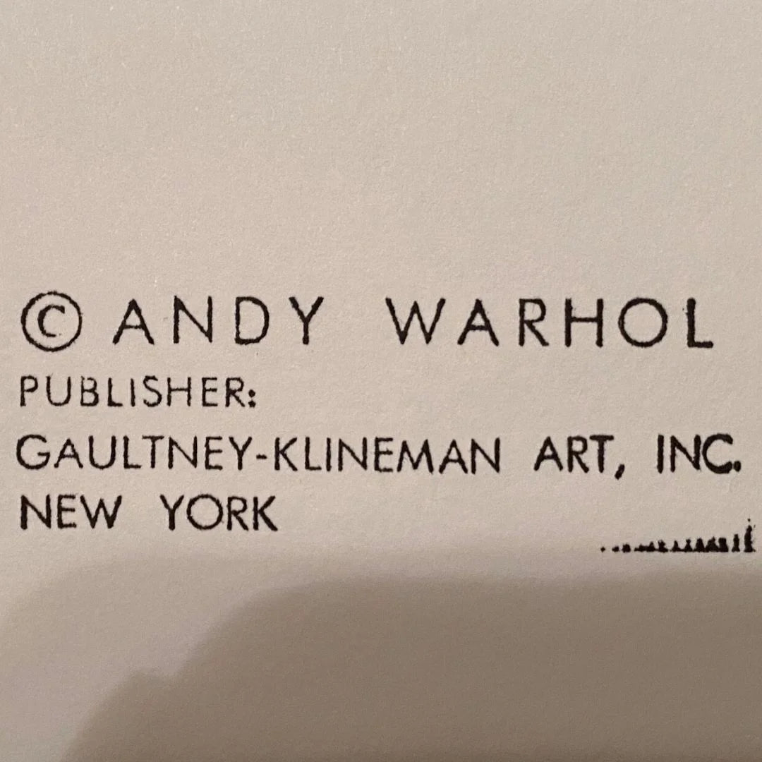 Copyright notice for Andy Warhol with publisher information on a beige background