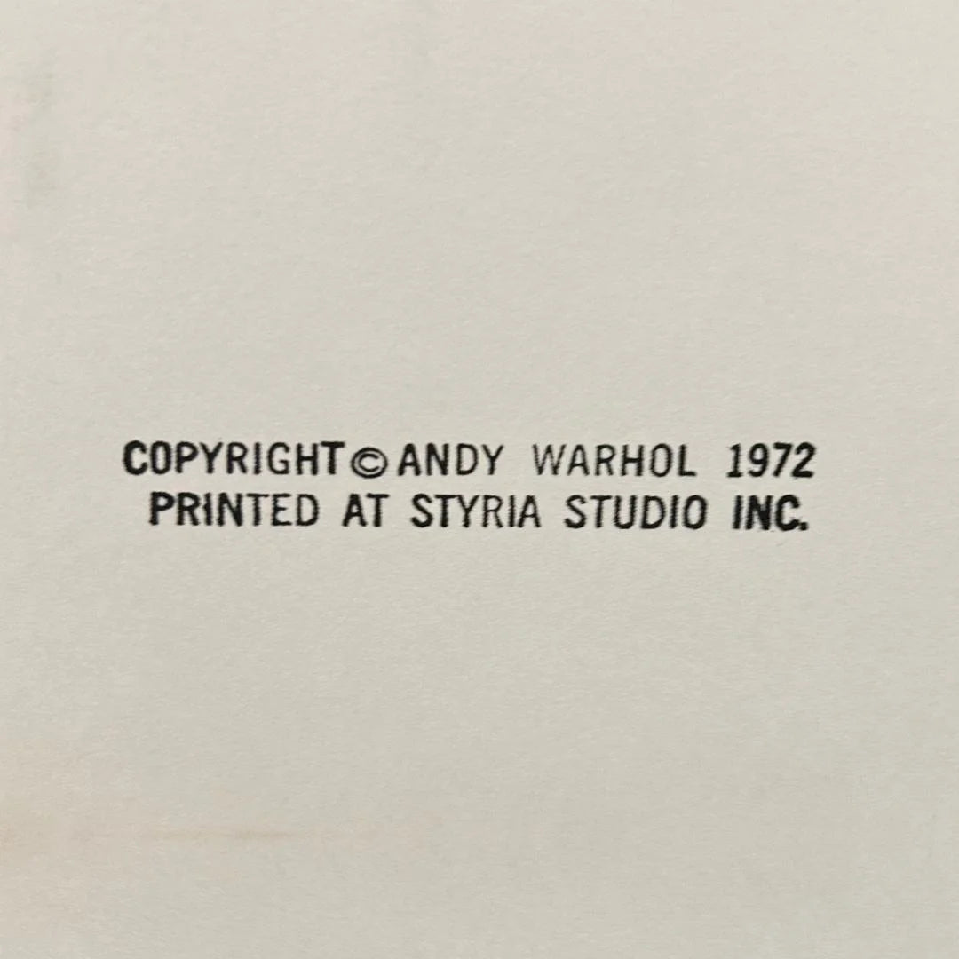 Copyright notice for Andy Warhol printed at Styria Studio Inc. on a beige background