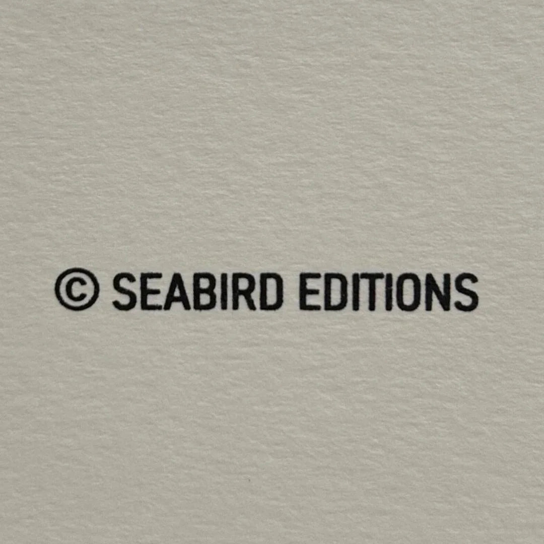 Seabird Editions logo on a textured gray background