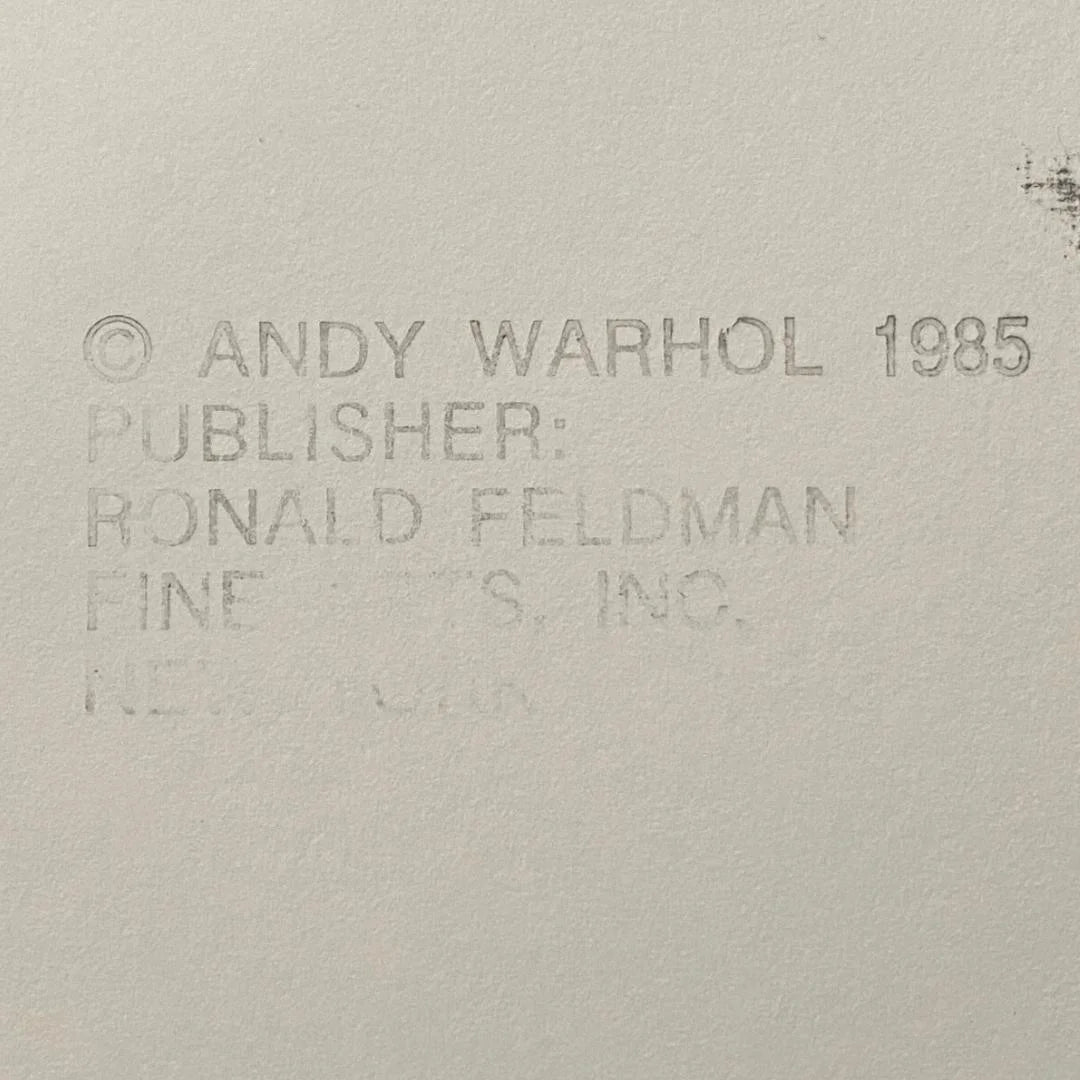 Text indicating copyright by Andy Warhol from 1985, with 'Ronald Feldman Fine Arts Inc.' listed as the publisher on a textured beige background.