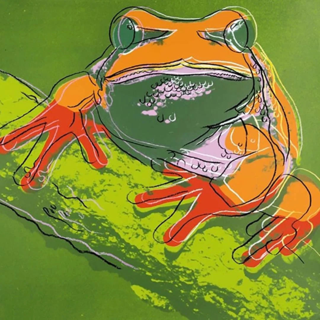 Colorful illustration of a frog on a green background