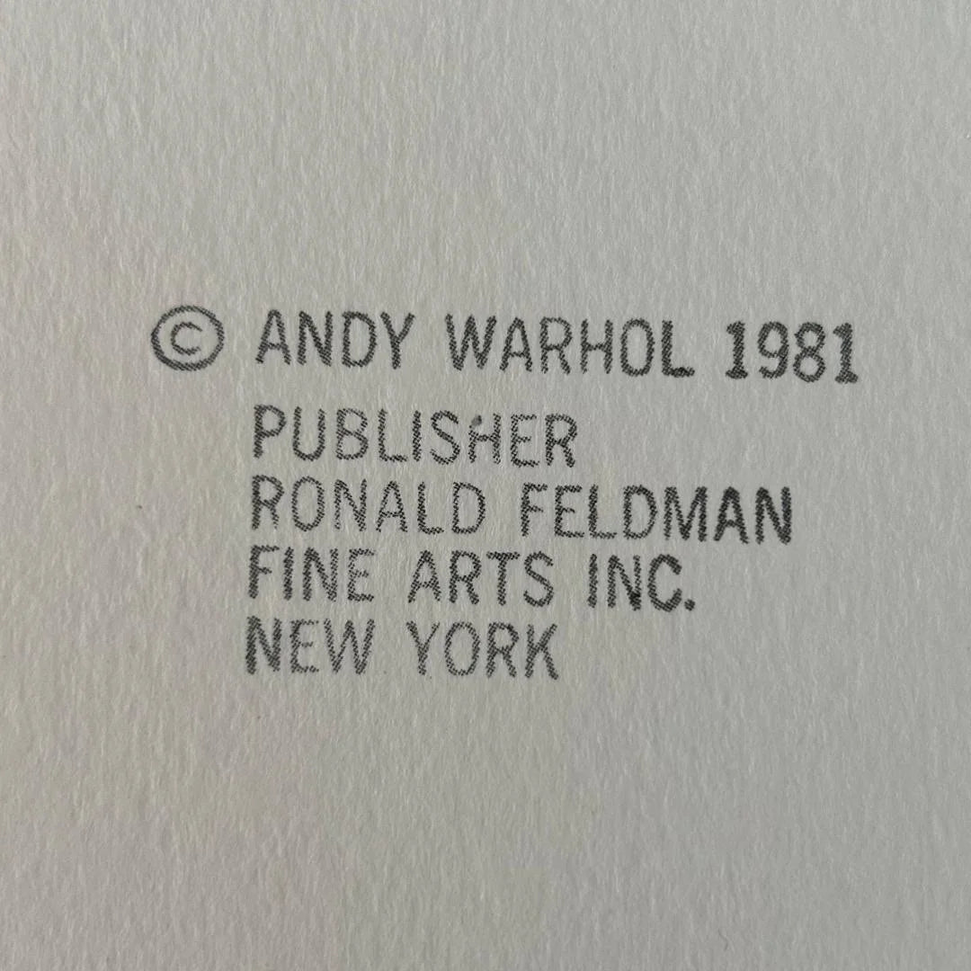 Text attribution to Andy Warhol and Ronald Feldman Fine Arts Inc. on a gray background