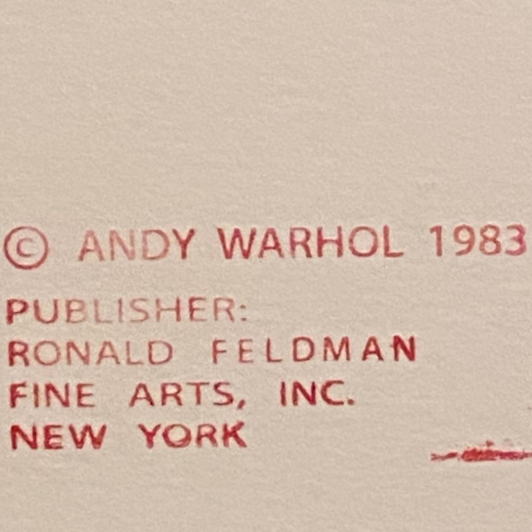 ANDY WARHOL “Bald Eagle" Trial Proof (Deep Orange) Silkscreen Endangered Species-Museum Quality- 38 X 38" Wall Art