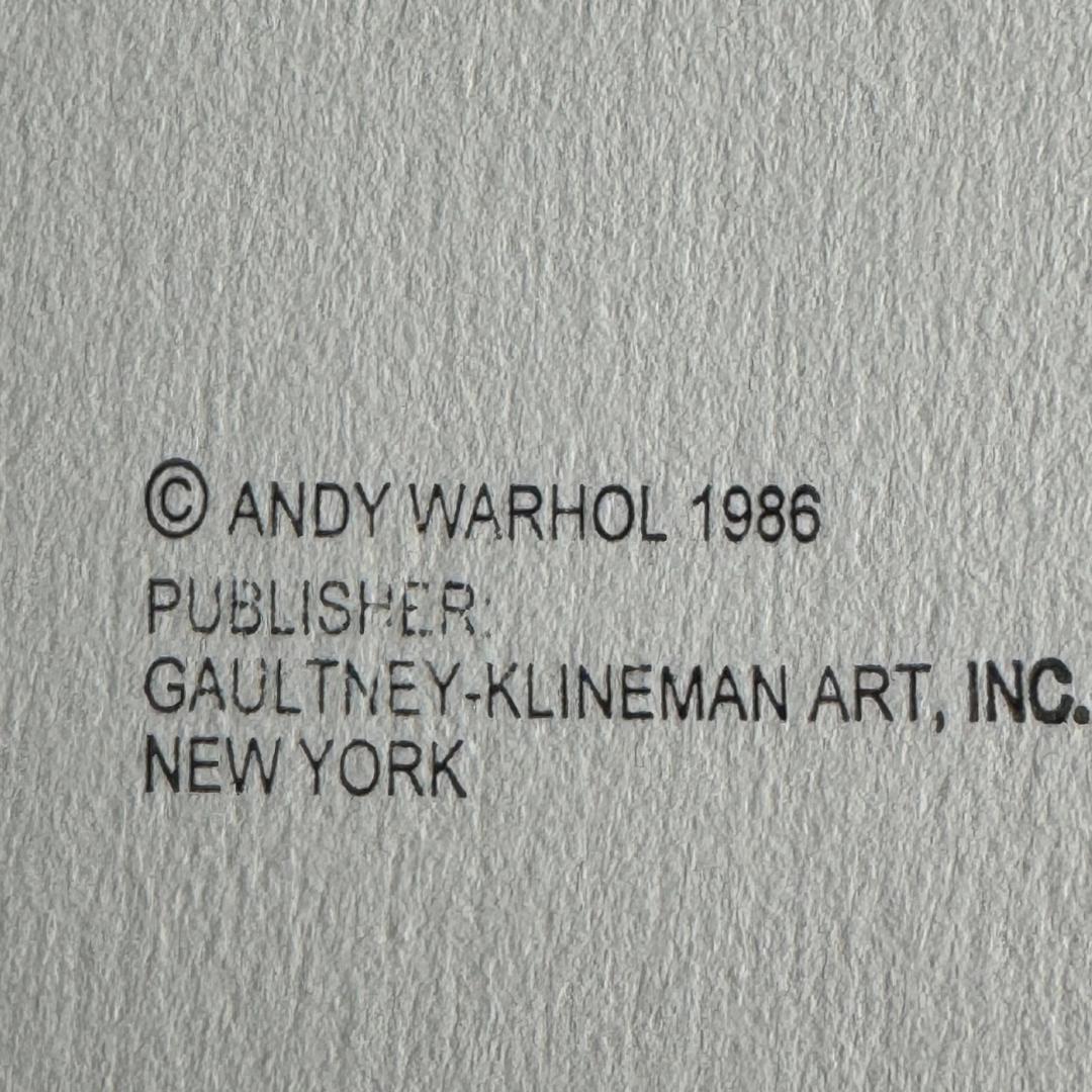 Text attribution to Andy Warhol and publisher on a gray background