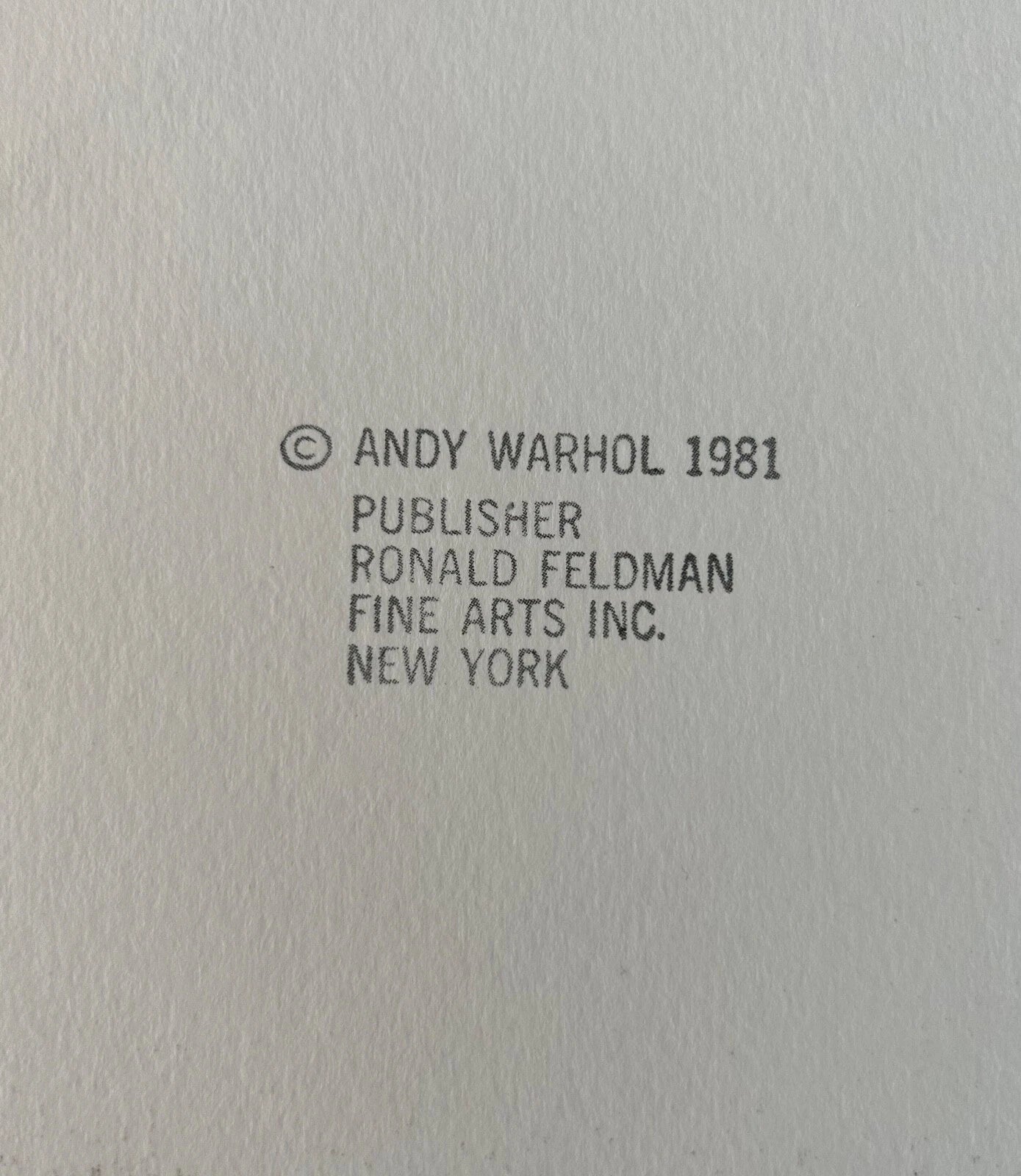 Text attribution to Andy Warhol and Ronald Feldman Fine Arts Inc. on a textured gray background