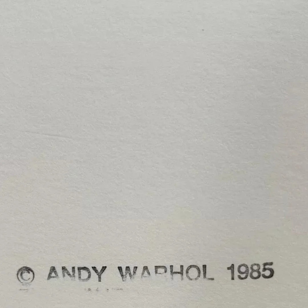 ANDY WARHOL “Turtle" Silkscreen Proof– Endangered Species- Museum Quality 31 1/2 X 39 3/8" Wall Art Print