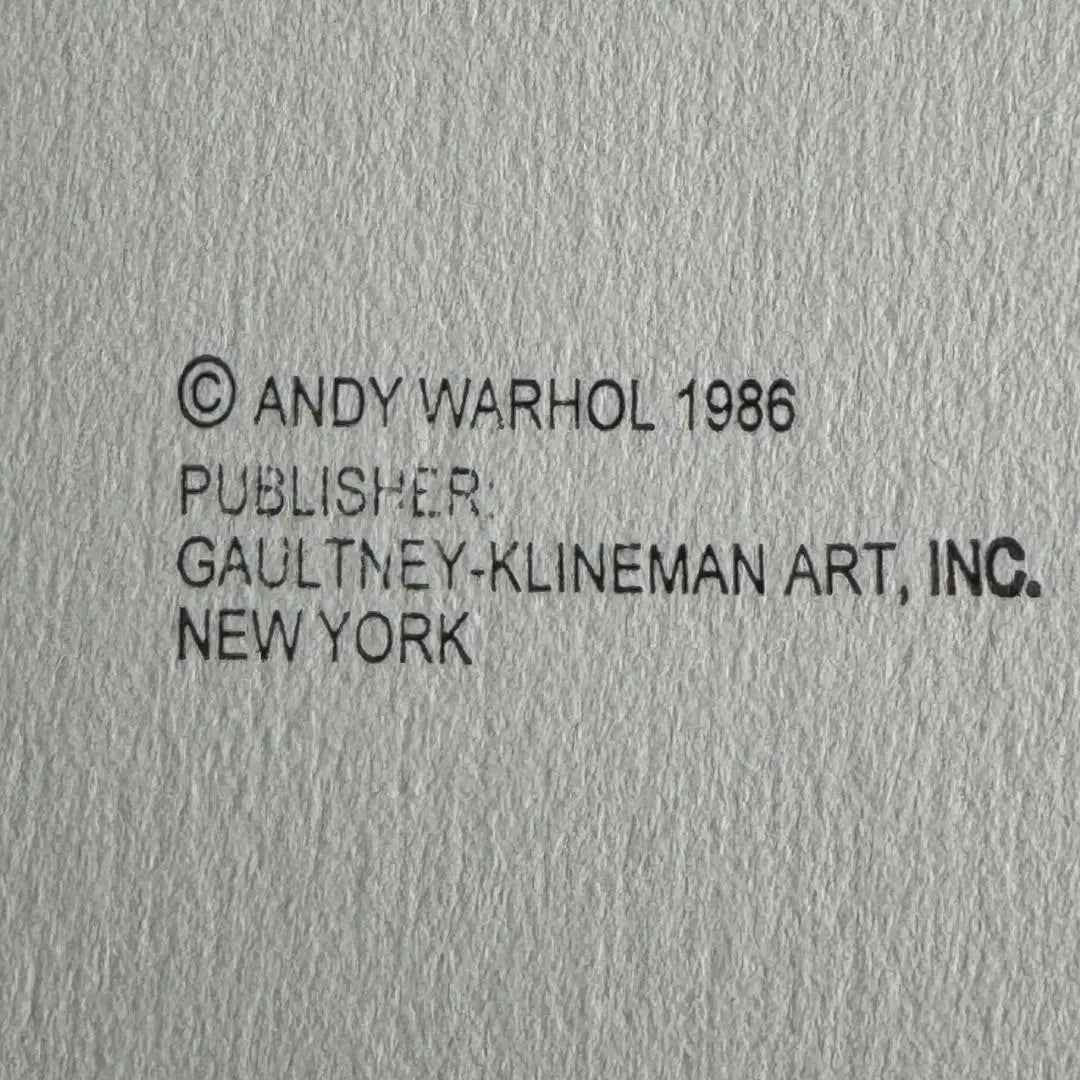 ANDY WARHOL– “Indian Shield"- Pink Trial Screenprint- Cowboys and Indians- Unsigned Proof- Museum Quality 36x36" Wall Art