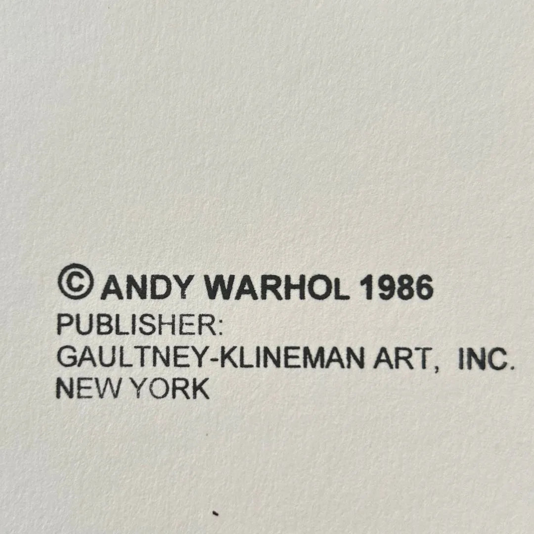 ANDY WARHOL– “Sitting Bull"- Pink Trial Screenprint- Cowboys and Indians- Unsigned Proof- Museum Quality 36x36" Wall Art