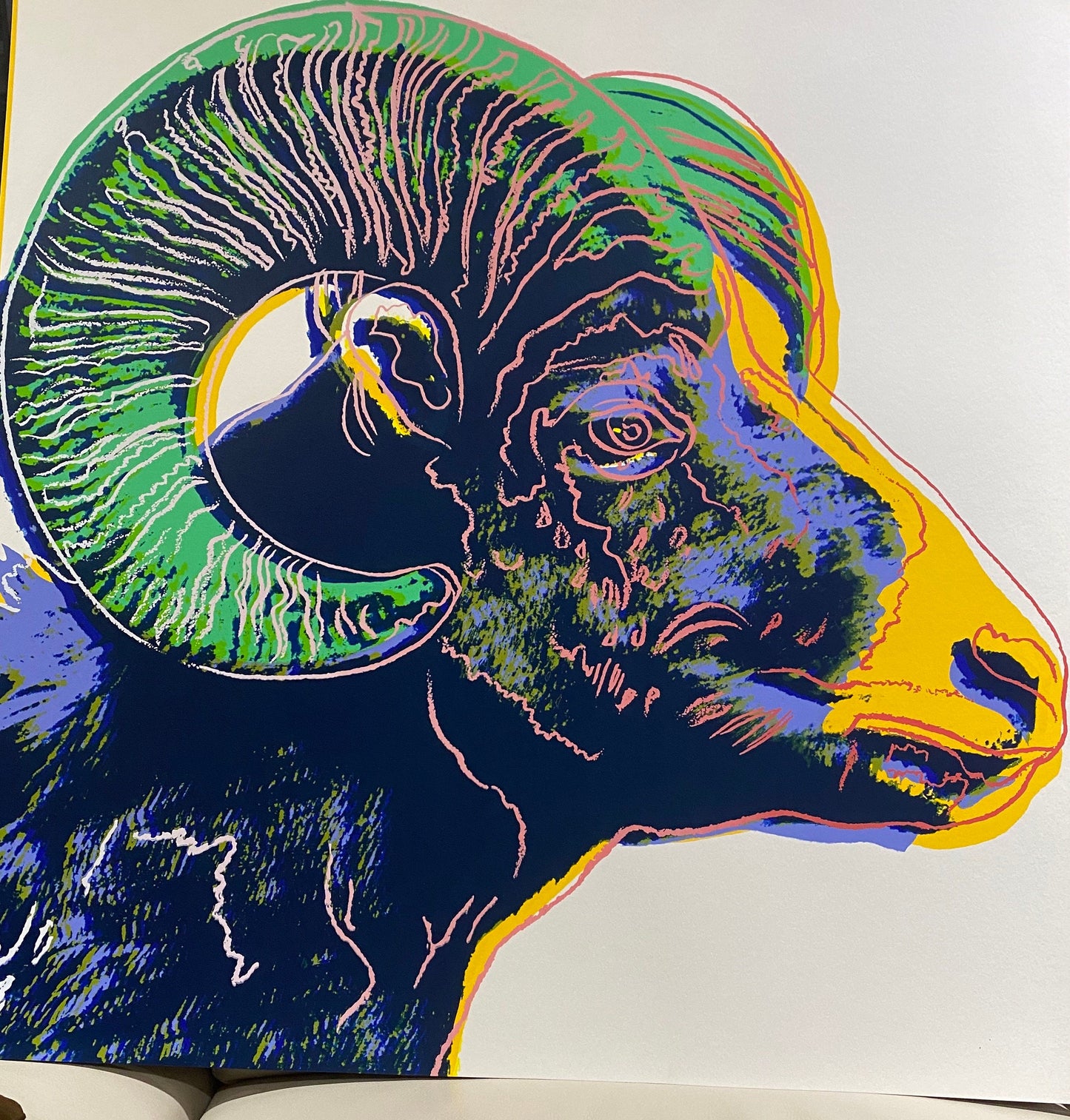 Full sized Andy WARHOL-10 Endangered Species- ALL SILKSCREENS (Screenprints) -Full Animals Suite- Superb Quality - Flat Ship- 10 Beauties!