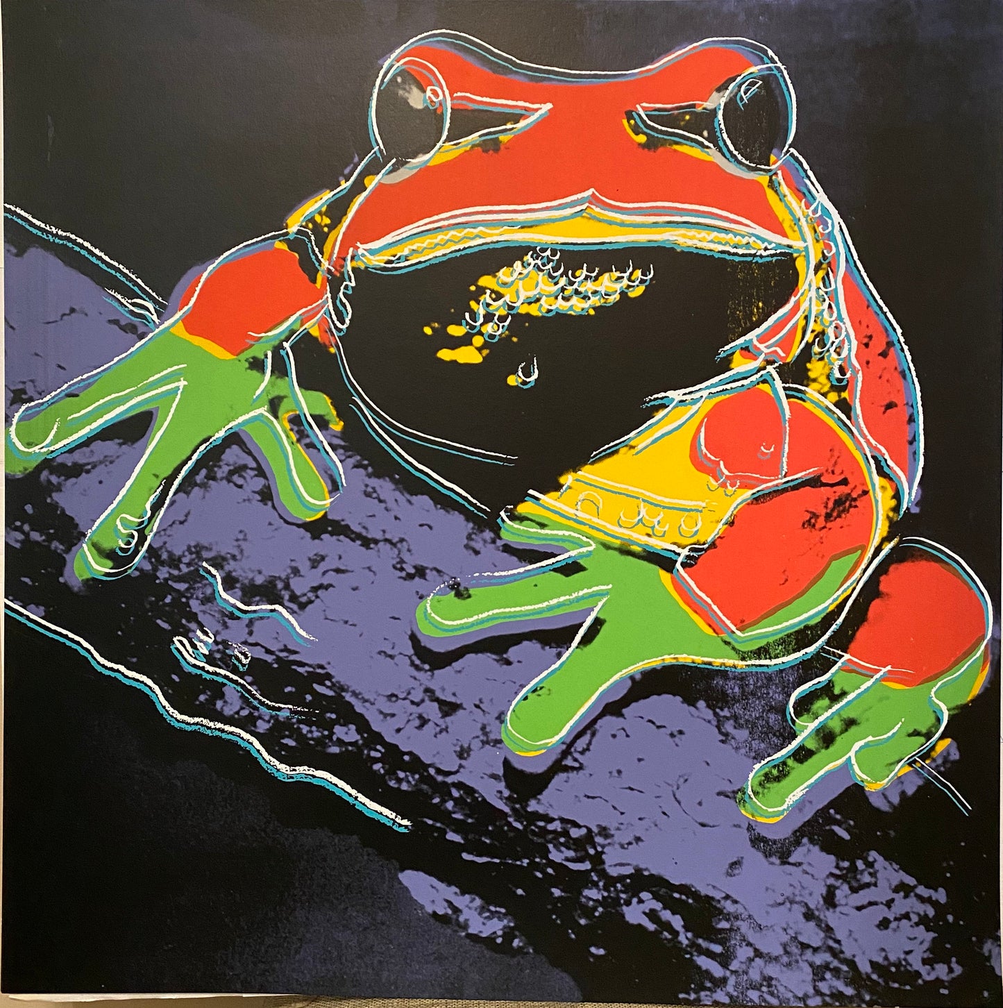 Full sized Andy WARHOL-10 Endangered Species- ALL SILKSCREENS (Screenprints) -Full Animals Suite- Superb Quality - Flat Ship- 10 Beauties!