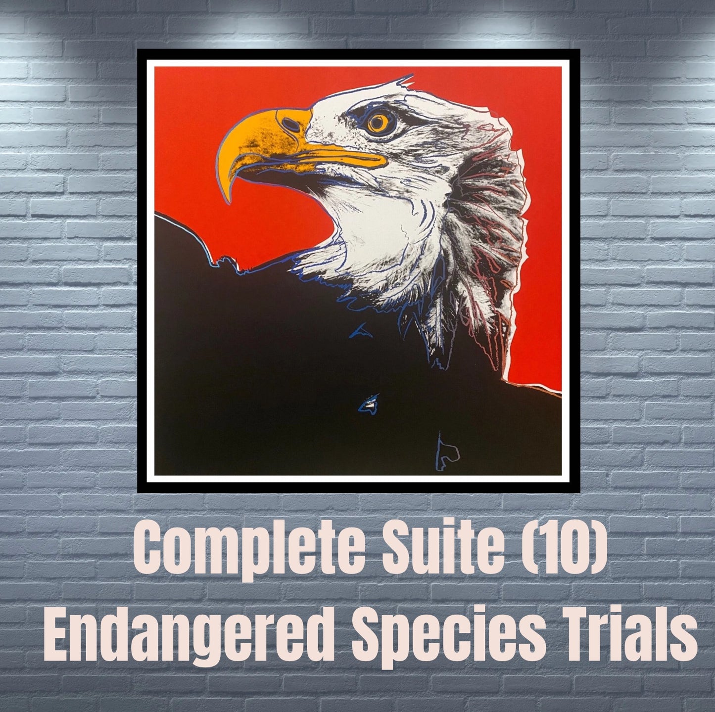 ANDY WARHOL–10 Endangered Species Trials-Silkscreen Proofs - Complete Animals Suite-Museum Quality- 38 x 38" Buy & Save Big!