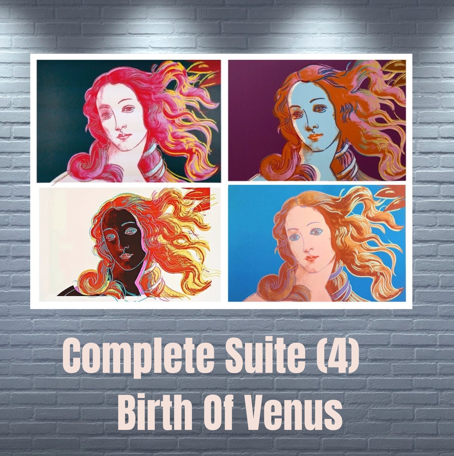 ANDY WARHOL- 4 Piece Pkg: "Birth Of Venus" #316-319- 4 Silkscreens- Unsigned Proofs- Museum Quality - Pop Art Beauties