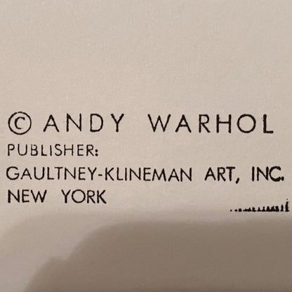 Copyright notice for Andy Warhol with publisher information on a beige background