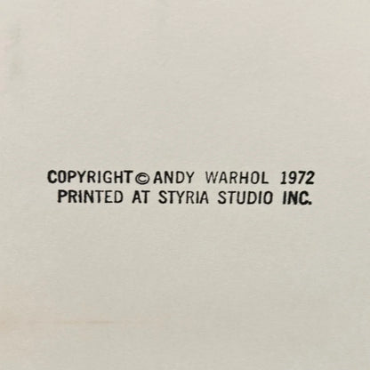 Copyright notice for Andy Warhol printed at Styria Studio Inc. on a beige background