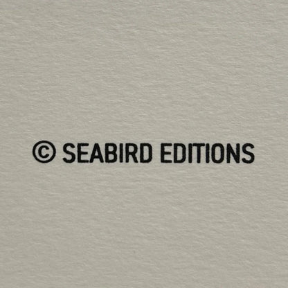 Text '© SEABIRD EDITIONS' on a textured gray background