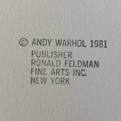 Text attribution to Andy Warhol and Ronald Feldman Fine Arts Inc. on a gray background