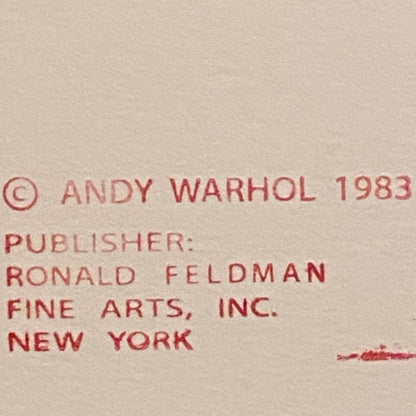 ANDY WARHOL “Bald Eagle" Trial Proof (Deep Orange) Silkscreen Endangered Species-Museum Quality- 38 X 38" Wall Art