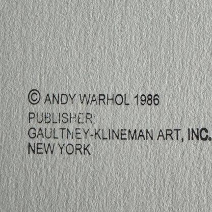 Text attribution to Andy Warhol and publisher on a gray background