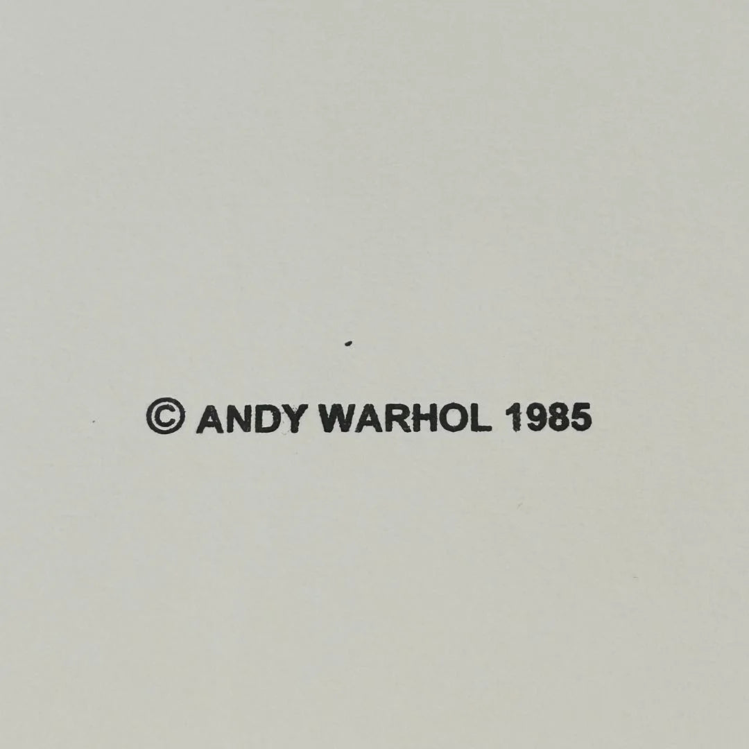 Copyright notice for Andy Warhol from 1985 on a plain background