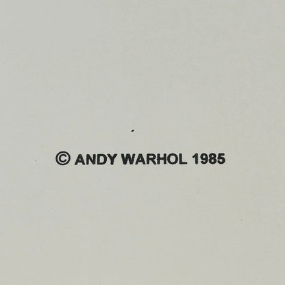 Copyright notice for Andy Warhol from 1985 on a plain background
