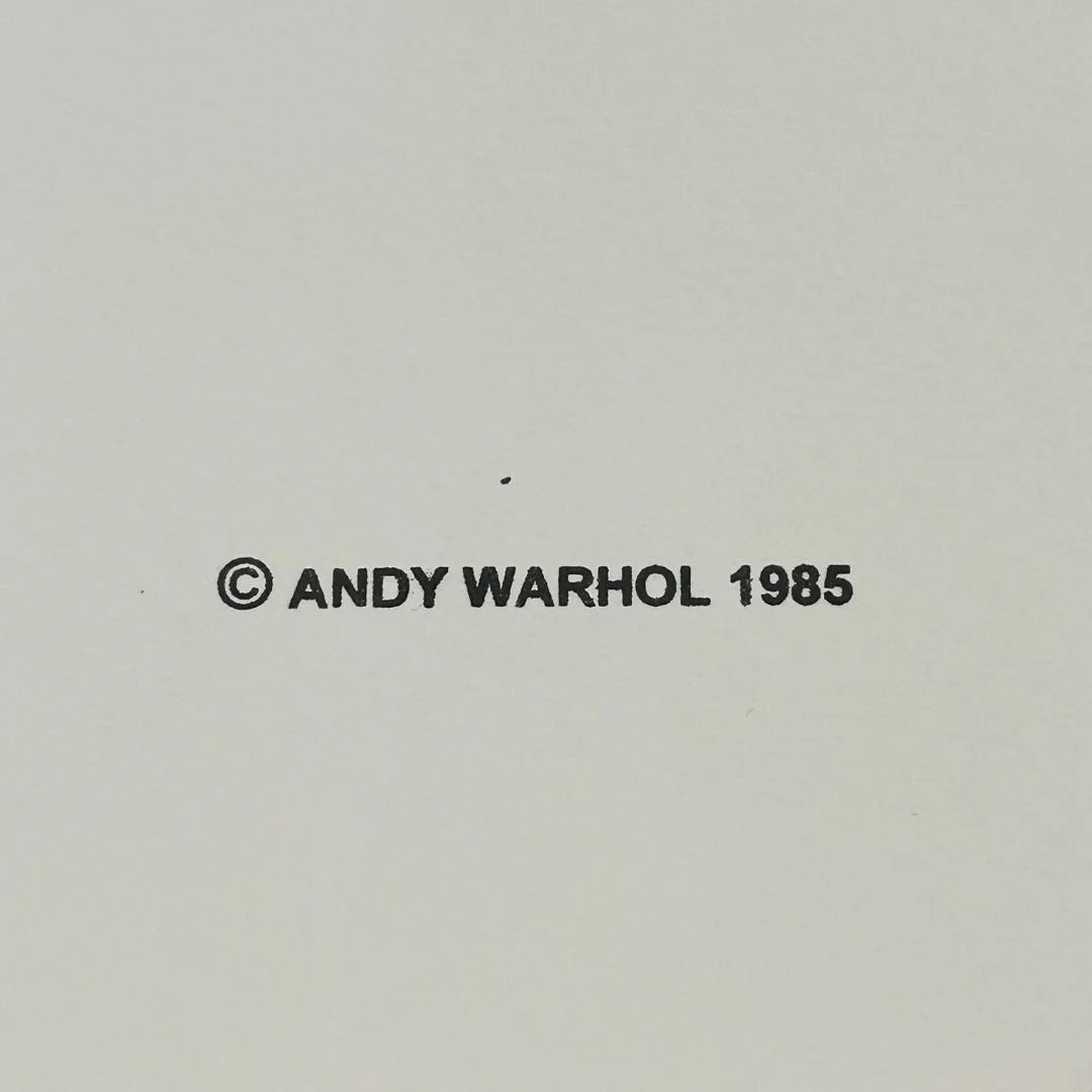 Copyright Andy Warhol 1985