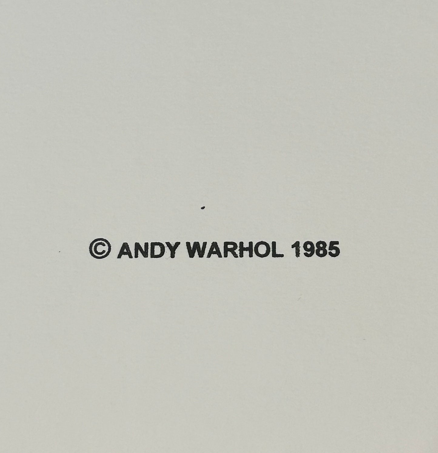 Full sized Andy WARHOL- 2 Piece Pkg.-Screenprints- "NTOMBI TWALA" -Swaziland- Queens -Trial Screenprints- Best Quality- Ships Flat
